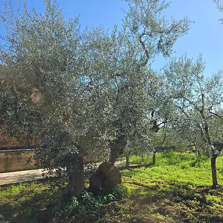 Il Rifugio Di Carlotta - Feriehus Bari